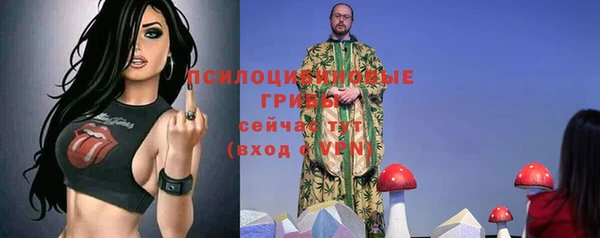 спайс Баксан