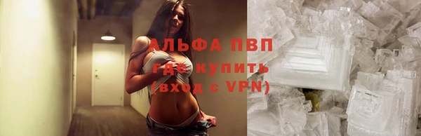 крисы Сосновый Бор
