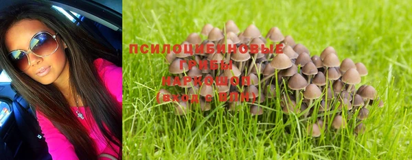 спайс Баксан
