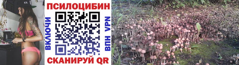 Галлюциногенные грибы Magic Shrooms  магазин продажи наркотиков  Новый Оскол 